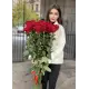 Голандські троянди 25 шт.