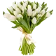 Букет із 25 білих тюльпанів (імпорт, Нідерланди)