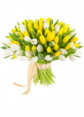 Веселкова весна