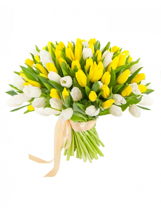 Веселкова весна Веселкова весна